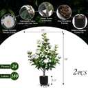 Hananona 2 Pcs Artificial Camellia Trees Faux Camellia Plant in Pot with Flowers Indoor Plants for Spring Home Decor Outdoor Porch Front Door Decor (White, M)