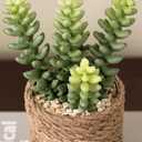 3-Pack Artificial Succulent Plants in Vintage Plastic Pots - Fake Waterproof Succulents Decor for Home, Office, Desk, Shelf - Low Maintenance Indoor Greenery for Bathroom, Living Room, Table Decor