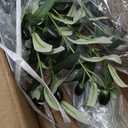 VIAGDO Artificial Olive Tree 7ft Tall Fake Potted Olive Silk Tree with Planter Large Faux Olive Branches and Fruits Artificial Tree for Home Office Living Room Decor Indoor, 2232 Leaves