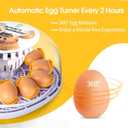 Nest I - 12 Egg Incubator for Beginners, Auto Egg Turning, Consistent Humidity with Auto-Refill Water Bottle & Stable Temp Control for Hatching Chicken, Goose, Duck, Quail, Pigeon, and Turkey