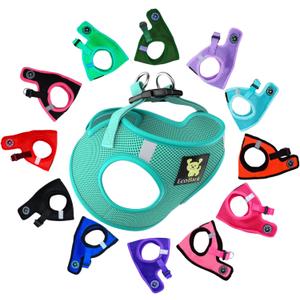 EcoBark Step in Dog Harness - Eco-Friendly Teacup Dog Harnesses ,Reflective and Adjustable Mini Body Halter Vest -Tiny Soft Mesh Toy Breed Harness Under 5 lbs (XXXS, Mint)