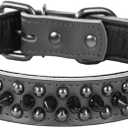 Serijoars Adjustable Genuine Leather Spiked Studded Dog Collars for Small Medium Large Pets/Pit Bull/Bulldog/Pugs/Husky (M, Black1)