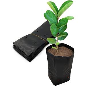 Belit 100 Pcs Plant Nursery Bags, Plastic Seedling Pots Container for Fruit Tree, Flower, Starting saplings, Plant Grow(3.5"x6.6")