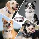 2 x Kazazoo Dog Collar Cute and Soft Nylon Puppy Collar Girl, Adjustable Dog Collars for Small Medium Dogs, Blue and Pink Flowers-S