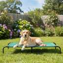 Amazon Basics Cooling Breathable Elevated Dog Bed with Durable Metal Frame for Large Dogs, X-Large, 60 x 37 x 9 Inch, Green, Easy to Clean