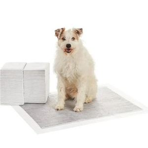 Basics Carbon OdorControl Dog and Puppy Pee Pads, 5Layer LeakProof Super Absorbent, QuickDry Surface, Potty Training, XLarge (28x34"), 50 Count, Gray