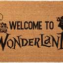 Enter Doormat 24x16 Inch, Funny Welcome Mat Speak Friend and Enter Welcome Mat, Coir Doormat Funny Door Mats Outside for Front Door Home Decor Housewarming Gift