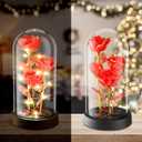 WINTERCRUSH Premium Light-Up Glass Rose - Perfect Birthday,Mother's Day,Valentine's for Women,Mom,Wife,Grandma,or Girlfriend - Colorful Rainbow Rose,Ideal for Home Decor (Red)