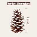 Frosted Pine Cones – Set of 15 Small 3–4" Loblolly Pinecones for Crafts, Christmas & Winter Decor, DIY Ornaments, Vase Fillers, Rustic Wedding Centerpieces & Seasonal Home Styling Events