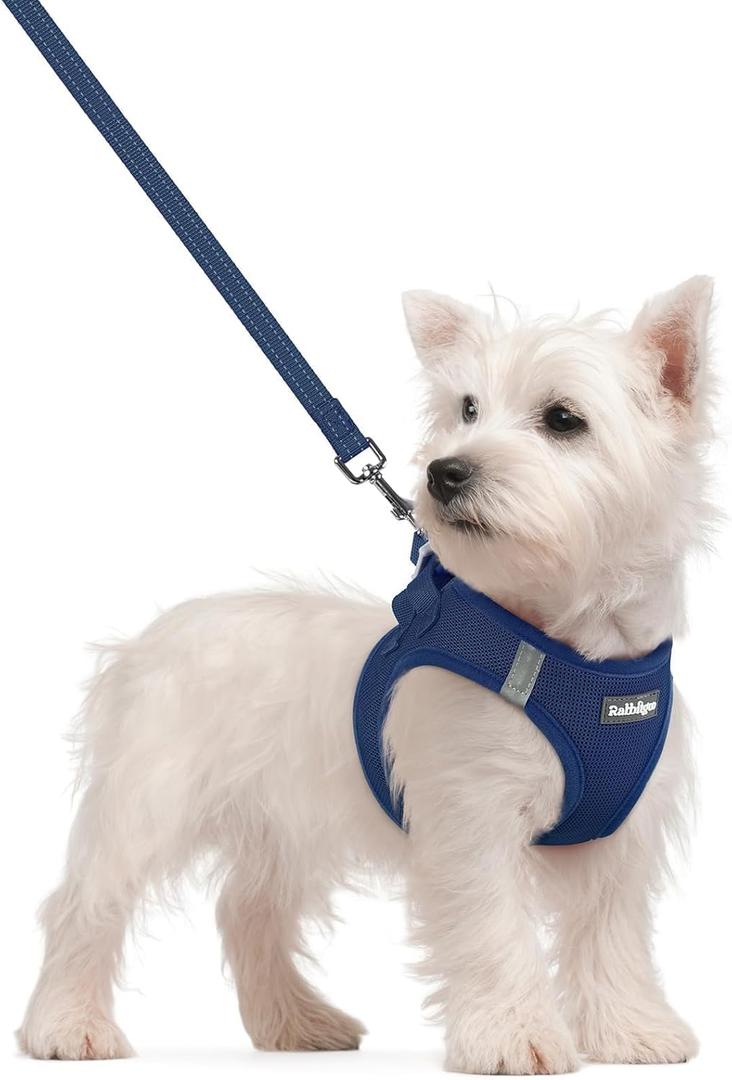 rabbitgoo Dog Harness Small Sized and Leash Set, Step in Soft Light Puppy Vest, Breathable Mesh Pet Harness, Reflective for Safe Outdoor Walking, Navy Blue S (S (Chest: 15.1 - 16.5"))