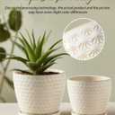 Plant Pots, Flower Pots, Planters for Indoor Plants(6.5+5.5inch), Flower Pots for Indoor Plant with Drainage Hole and Saucer, Ceramic Pots for Plants with Hole Mesh Pad,Reactive Glaze White