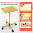TASALON Rolling Salon Cart, Mobile Styling Station with Wheels Aluminum Rolling Tray Trolley for Salon Essentials, Adjustable Heightfor Hairstylist Tray with 10 PCS Disposable Salon Tray Cover,Gold