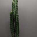 Nafresh UV-Resistant Artificial Fake Cactus Plants 4ft – Large Faux Cowboy Cactus for Indoor & Outdoor Home, Office, or Garden Decor