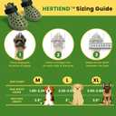 Dog Shoes for Hot Pavement - Comfortable Paw Protection for Medium & Large Dogs, Adjustable Strap & Non-Slip, Easy-Clean, Outdoor Sports Boots, Dog Booties for Summer Rain (Green, XL)
