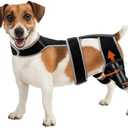 Adjustable Dog Knee Brace for Hind Leg - Double Leg Orthopedic Support with 4 Metal Stabilizers, Vest Design Dog Leg Brace for ACL/CCL Tear, Luxating Patella, Arthritis & Post-Surgery Rehab (Large)