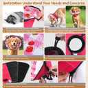 Soft Dog Cone Collar After Surgery: Adjustable Long Foldable Comfy Recovery Shame Elizabethan Stop Licking Small Medium Large Dogs (Red, XL)