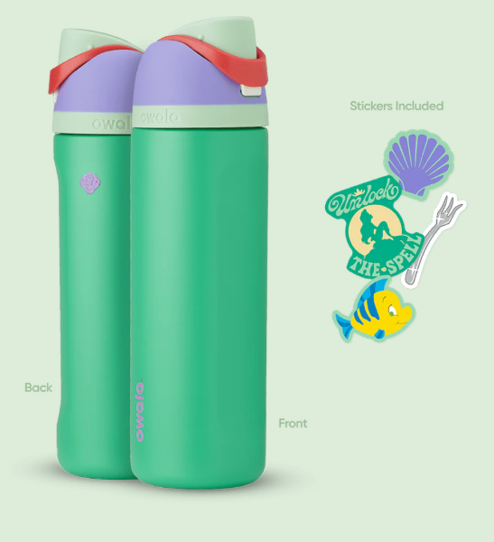 Owala Disney Princess FreeSip Insulated Stainless Steel Water Bottle with Straw for Sports and Travel, BPA-Free Sports Water Bottle, 24 oz, Cinderella