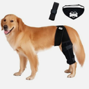 Bark Rx: Dog Knee Brace Hind Leg - Orthopedic Brace for Dogs - Integrated Support Strap for Canine Cruciate Ligament, Luxating Patella, Dislocation Injury - Includes Bandana Collar - Black (L)