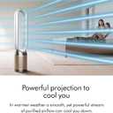 Dyson Purifier Cool PC2 De-NOx