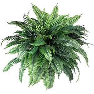 Jutom Artificial Ferns Outdoors Faux Boston Fern Bush 88 Long Silk Branch Large Fake Shrubs for House Office Garden Outdoors Indoor Decor Arrangement, 29.5 Inch(1 Pcs)