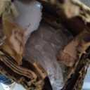 Flash Furniture Raisley 3-Section Mobile Magnetic Whiteboard Partition for Classrooms or Offices, Rolling Dry Erase Board Room Divider, 72"H x 24"W