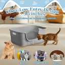Low Entry Kitty Litter Box for Small Cats, Kittens Litter Boxes with High Sides, Open Top, Anti-Splash Plastic Litter Pan for Medium Pets, Easy to Clean, 16.5" L*11.8" W*7" H (Grey)