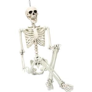 5.4 ft Posable Halloween Skeleton Decorations,Human Bones for Halloween Party with Movable Joints,for Haunted Houses, Front Lawn, Graveyard Props