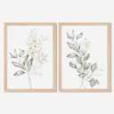 Framed Nature Botanical Wall Art Set of 2, White Floral with Green Eucalyptus Leaves Canvas Prints, Modern Minimalist Flower Painting Picture For Kitchen, Bedroom, Dining Room,Bathroom Decor, 8x10IN, White Floral Framed, 10"L x 8"W