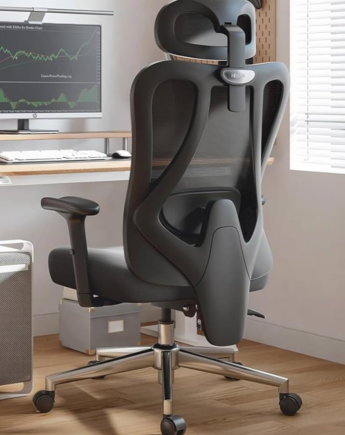 Hbada P3 Ergonnomic Office Chair with 2D Adjustable Lumbar Support, Office Chair with Adjustable Headrest and Armrest, 145° Stepless Tilt Function, Black (No Footrest)