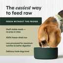 Instinct Freeze Dried Raw Meals Grain Free Dog Food, Dry, Freeze Dried, Raw, Beef Recipe, 25 oz (EXP 08/14/28)