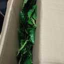 Dkaltm Artificial Boston Fern Bush- Set of 2 Large Artificial Ferns for Outdoors, 45Inch Large Faux Ferns, Suitable for Office & Living Room Decor, 55Branches for Each Bouquet