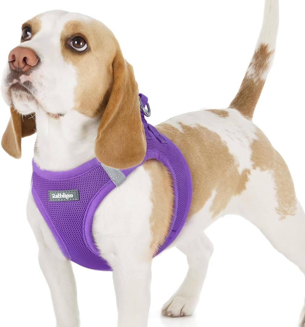 rabbitgoo Small Dog Harness, Step-in Soft Mesh Puppy Vest with Safety Buckle, Breathable Reflective Pet Harness for Small Sized Dogs, Purple M (M(Chest:16.0"-18.5"))