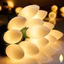 Vintage C9 LED Christmas Lights Outdoor, 50 Feet C9 String with 50 Shatterproof Matte Bulbs, Connectable Waterproof Tree Lights for Holiday Roofline, Backyard Garden Decor, Warm White