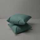 Arden 16 in L x 16 in W x 5 in H Pillows Pack of 2