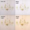 K9 Crystal Candle Chandeliers Lighting 12 Lights Pendant Ceiling Fixture Lamp for Dining Living Room Bedroom Hallway Entry Elegant Decoration (12 Bulbs)