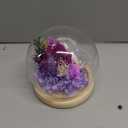 FIACO Gifts for Mom Mothers Day Women Birthday Preserved Flowers in Glass Dome Forever Fresh Flowers for Delivery Eternal Roses Gifts for Grandma Wife Daughter Friends