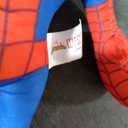 Marvel Spidey & His Amazing Friends 9 Inch Plush | Peter Parker
