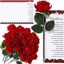 Sayglossy 12 Sets Rose Pen Mother's Day Gifts Artificial Red Flower Ballpoint Pens with Inspirational Praise Card Rose Party Favor Church Gifts for Mom Friend Pastor's Wife