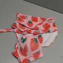 Butterfly Women's Retro Ruched Ruffle High Waist Bikini Set, Flag Tankini Swimsuits Tummy Control Swimwear