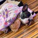 Tatuo 4 Pack Fleece Dog Blankets for Puppy Cats Multi-Size Sleep Mat for Pet Guinea Pig Soft Washable Warm Crate Bed Puppy Teething Toys Print Pattern Blanket Indoor(Purple,24 x 16 Inch,Paw)