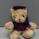 Zhanmai 3 Pcs 2026 Graduation Gift Set Include Graduation Plush Bears Inspirational Compass Necklace with Box for Preschool Kindergarten Primary College High School Party Favors (Purple)