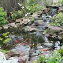 Pond Cover Net 10.5x10.5 FT Pond Dome with Support Rope Leaf Net Ground Studs for Pond and Garden