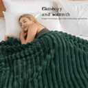 Exclusivo Mezcla King Size Flannel Fleece Blanket, Super Soft Striped Jacquard Bed Blanket, Lightweight Fuzzy Cozy for All Seasons, 90x104 Inches, Forest Green