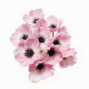 Rikyo 1 Stem 11" Bouquets Artificial Flowers Poppy Flowers,No Fade PU Fake Wild Flowers for Kitchen Table Centerpiece Vase,Home Greenery Wedding Holding Flowers Backdrop Arch Wall(Pink)