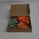 6PCS Artificial Ranunculus Flowers with Real Touch Stem Silk Ranunculus Flowers for Household Arrangement (Light Orange)