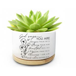 Funny Cute Cat Ceramic Planter Pot with Drainage Holes and Bamboo Tray Ideal for Succulent and Cactus Plants Decorative Indoor Home Office Gift for Cat Lovers and Plant Lovers (Plant Not Included)