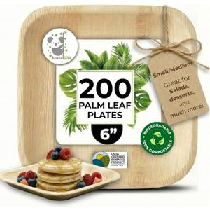 Palm Leaf Plate Bamboo Paper Disposable 6 Inch 200 Bulk Appetizer and Dessert Square Party Pack Eco Biodegradable Compostable Wooden Plate Better Than Plastic By KoalaLove