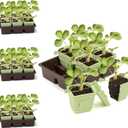 Side-Open Seed Starter Tray 4-Pack, 24 Cells Modular Design with Detachable Plant Cells, Extra-Large 2.36"x2.28" Cells, Reusable Seed Germination Kit for Indoor & Outdoor Gardening
