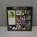 Border Collies Calendar 2018: 16 Month Calendar