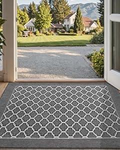 DEXI Entryway Door Mat Inside, Front Entrance Doormat Thin Low Profile, Non Slip Mats Absorbent for Home Entry Floor, 24x36, Floral Grey